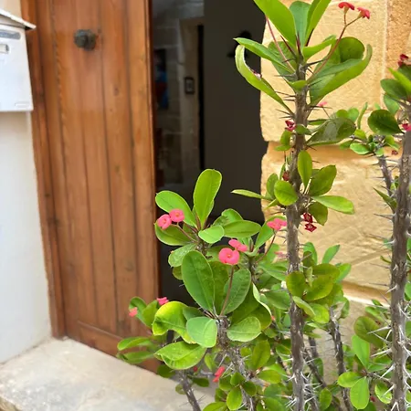 منزل للإقامة 300 Year Old Townhouse Near Mdina ربات
